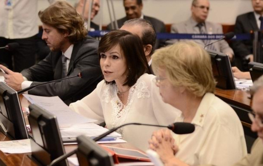 Deputada Professora Dorinha