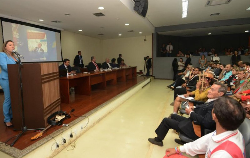 Deputada Luana Ribeiro durante audiência