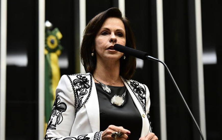 Deputada Dorinha defende PNE