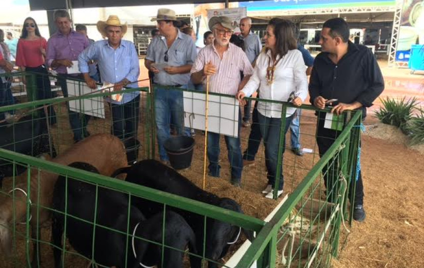 Presidente da Faet/Senar visita a feira