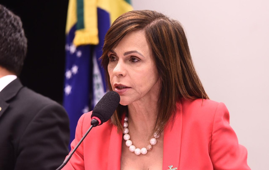 Deputada Federal Professora Dorinha