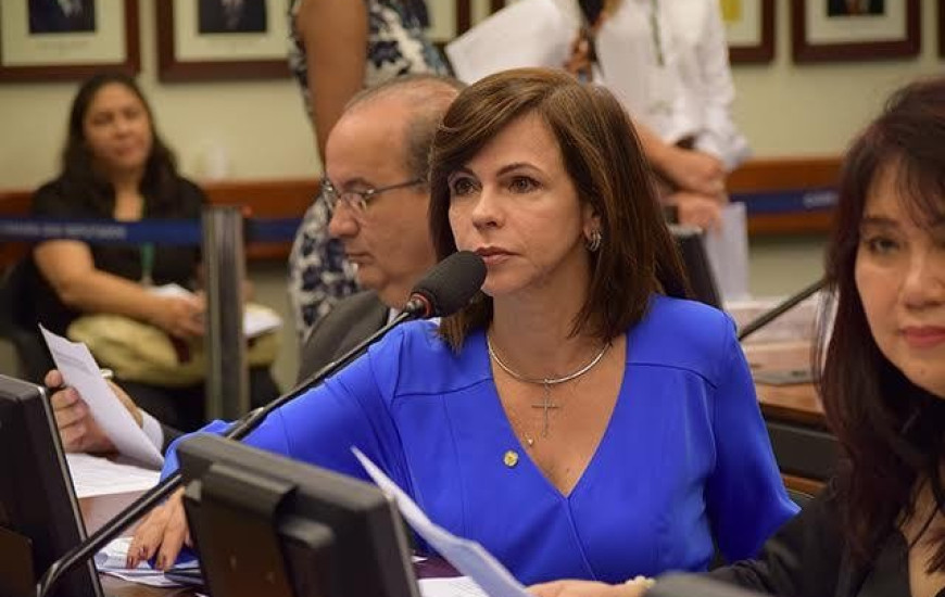 Dorinha sugere debate sobre o PNE