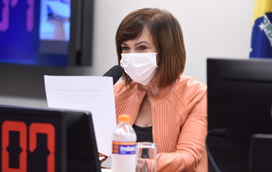 Deputada federal Professora Dorinha 