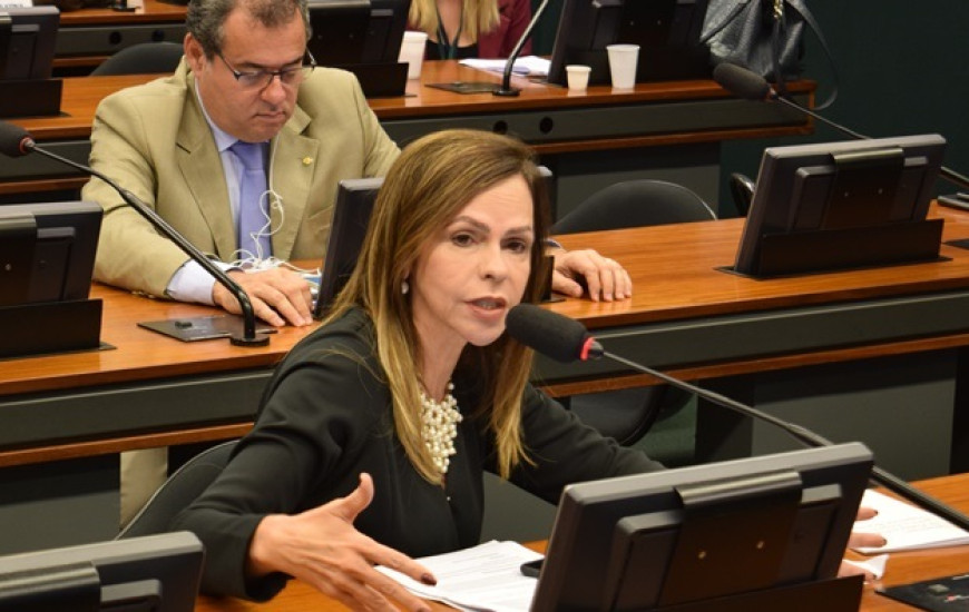 Dorinha tem emenda acatada parcialmente em Comissão