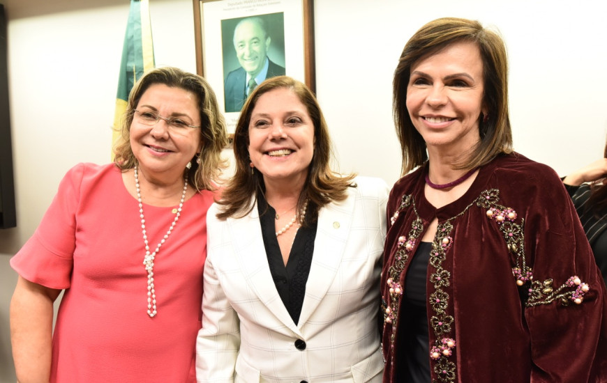 Dorinha ao lado da 1ª Secretaria da Mesa Diretora da Câmara e da 1ª Coordenadora
