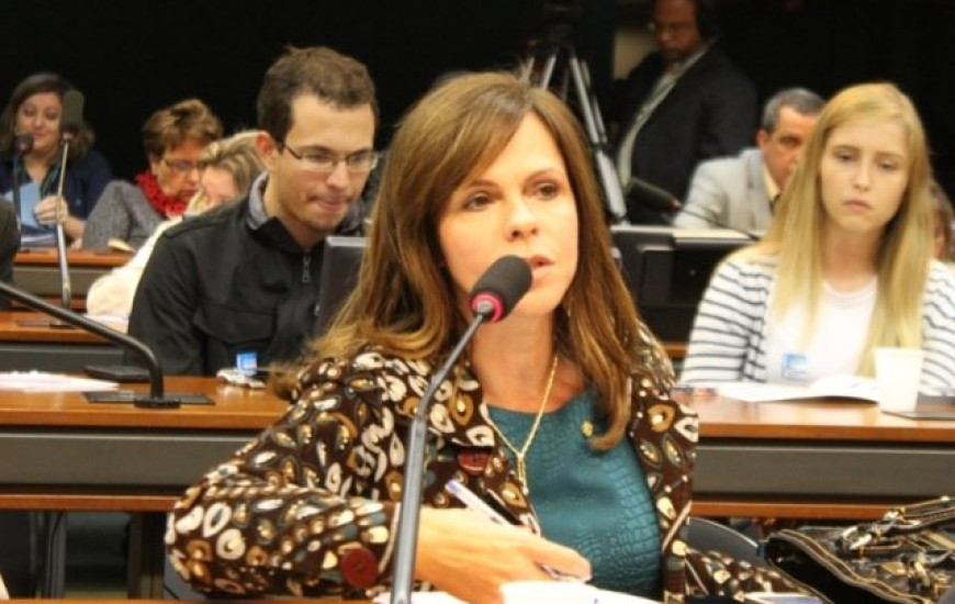 Deputada Professora Dorinha