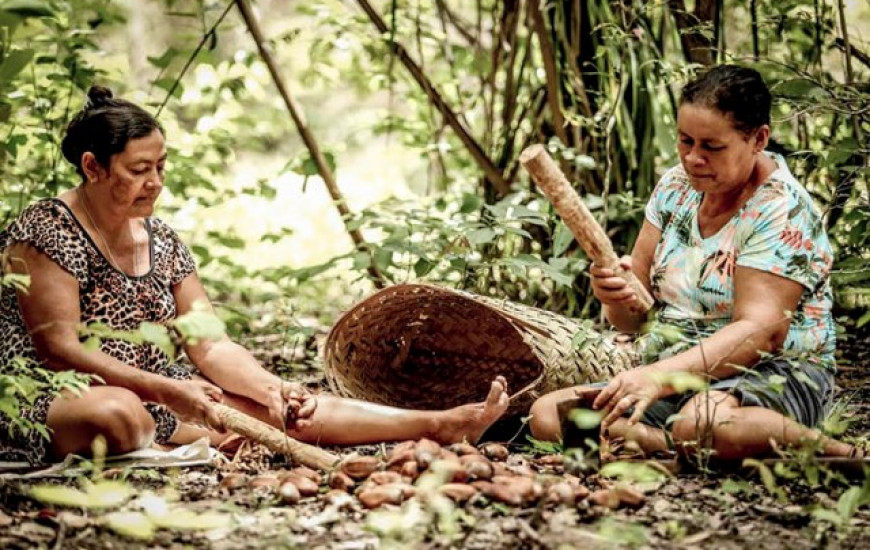 Quebradeiras de coco babaçu 
