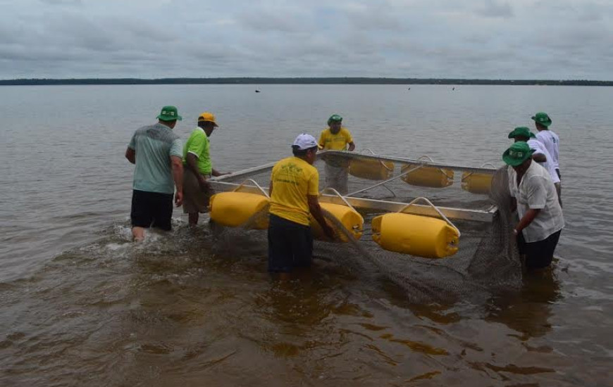 Alunos implantam sistema de tanque-rede