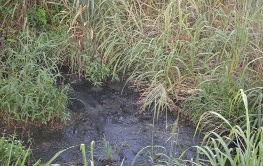 Sedes deve tomar providências