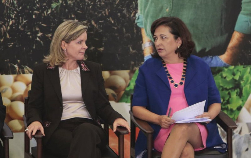 Kátia ao lado de Gleisi em Brasília na terça