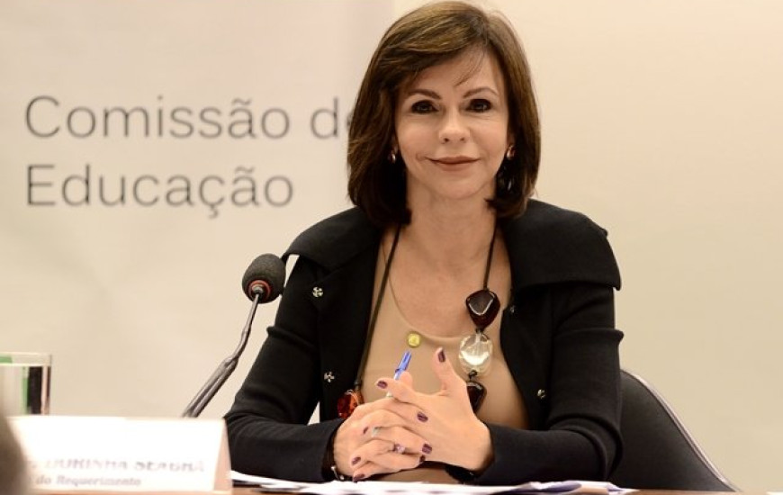 Dorinha tem emendas a MP aprovadas