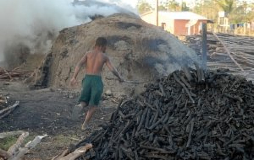 Cai número de crianças que trabalham
