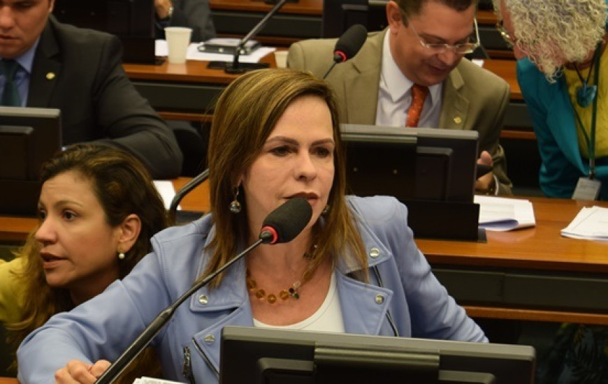 Dorinha ressalta contribuição à Arraias, que completa 277 anos