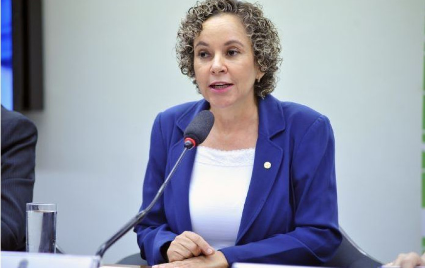 Deputada Federal percorreu Gurupi em apoio a Vicentinho