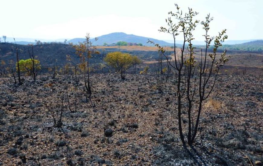 Seca e estiagem no Tocantins 