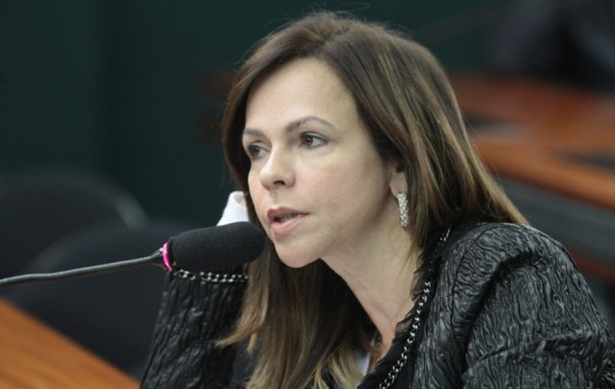 Deputada Dorinha Seabra