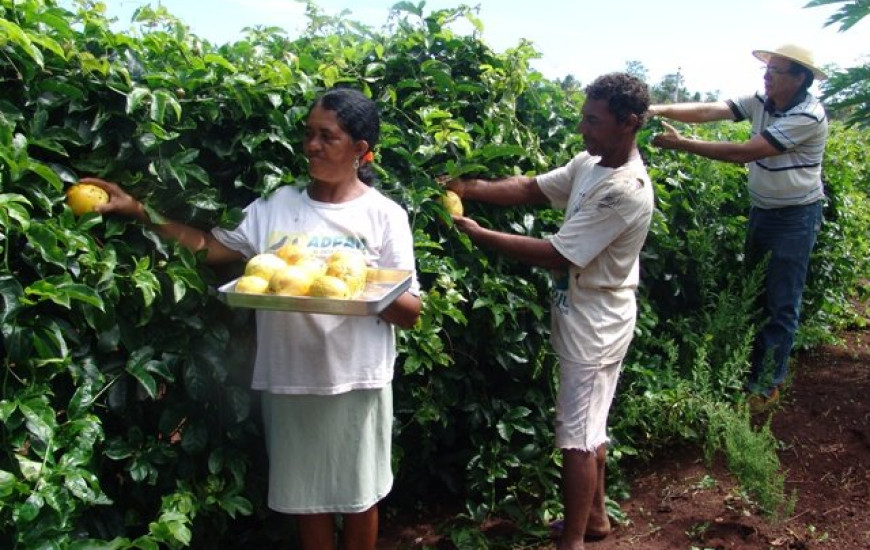 Agricultura familiar
