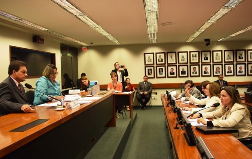 Dulce defende direitos na Câmara dos Deputados