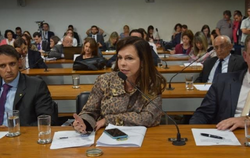 Deputada Professora Dorinha (Democratas/TO)