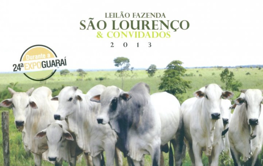 Leilão da Fazenda São Lourenço