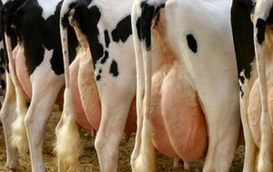 Crescimento foi de 185,05%