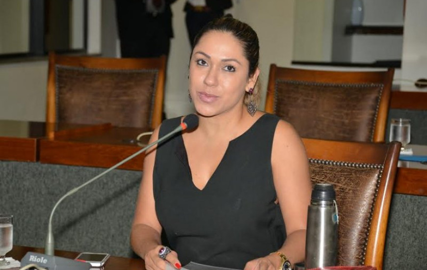 Luana Ribeiro é vice-presidente da AL