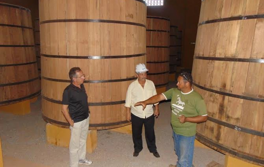 Região Sudesto do TO abriga produção