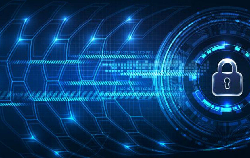 PL disciplina como as informações são coletadas e tratadas