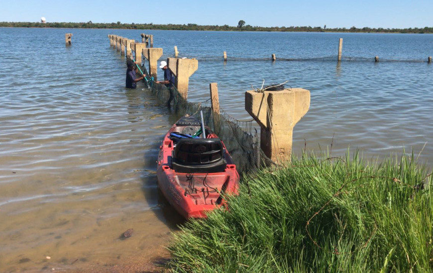 Estruturas teladas evitam a entrada de piranhas e outros peixes