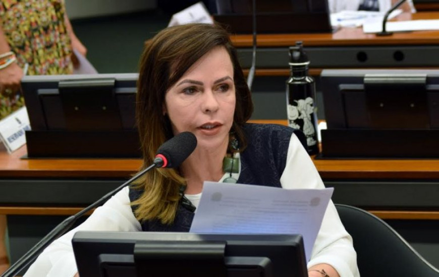 Deputada Dorinha libera recursos