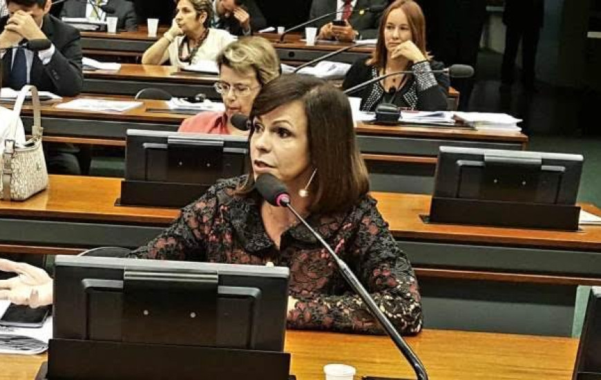 Deputada Professora Dorinha