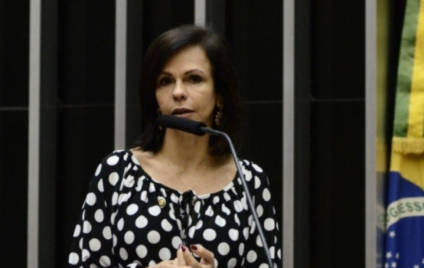 Deputada Professora Dorinha