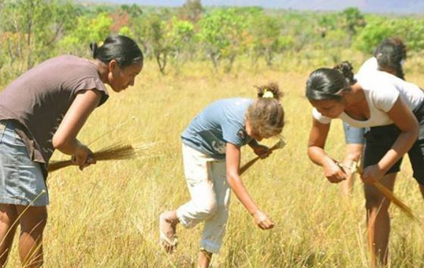 Naturatins mudou normas para coleta