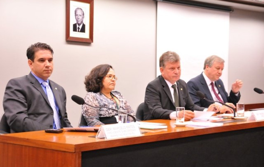 Agnolin cria comissão