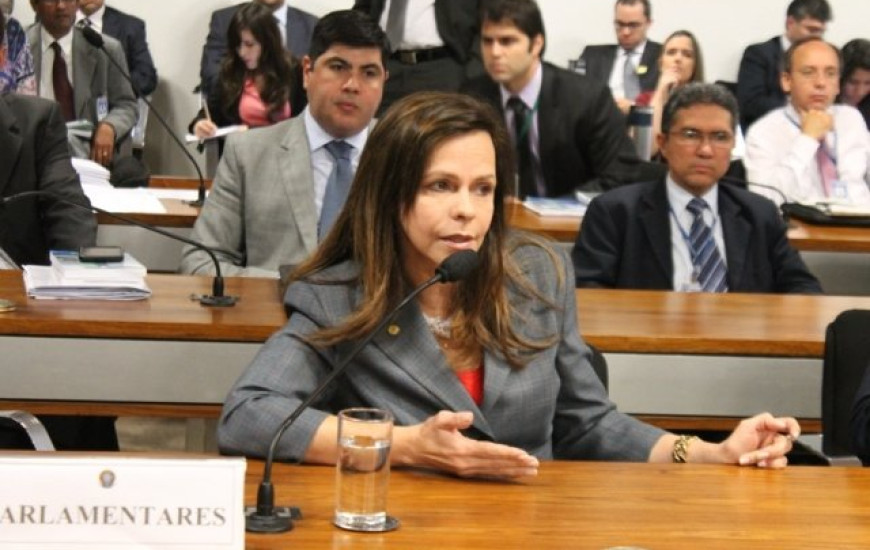 Deputada Dorinha Seabra