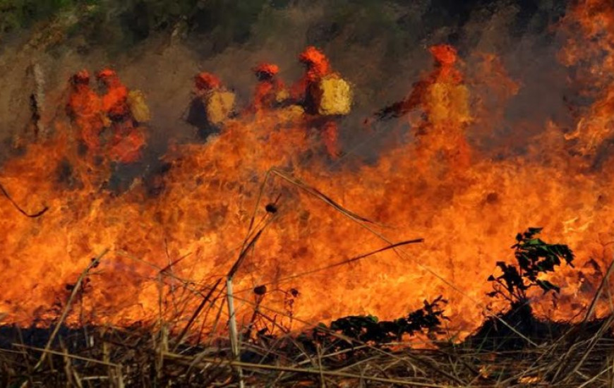 Queima controlada tem autorização suspensa