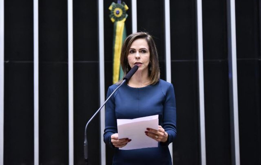 Deputada Dorinha em sessão solene