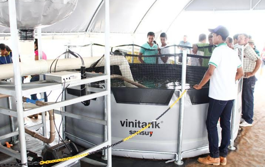 Câmara de brotação