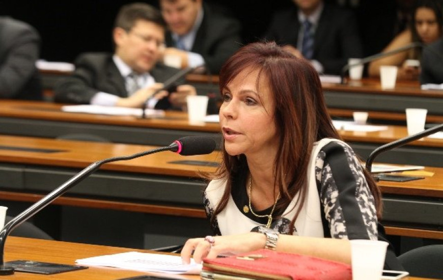 Deputada Dorinha Seabra