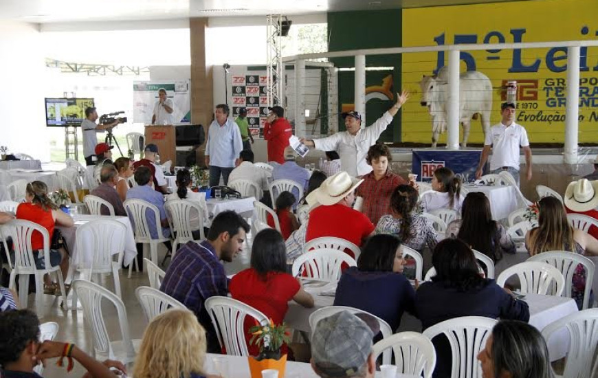 Grupo Terra Grande tem trabalho reconhecido no TO
