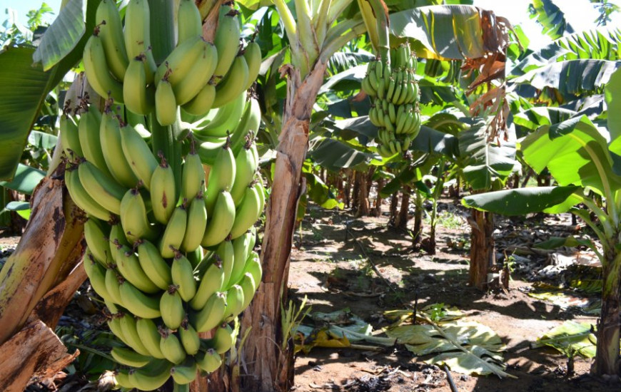 O treinamento aconteceu nesta semana