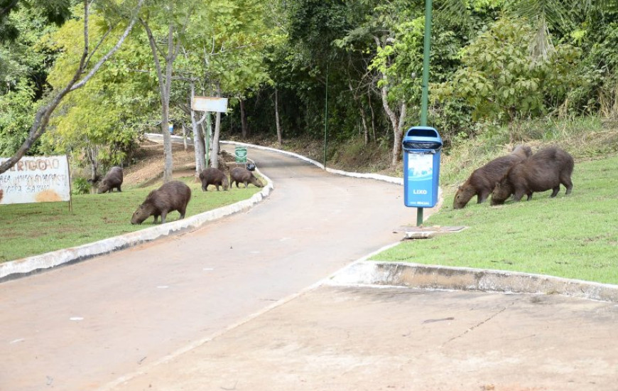Parque Cesamar será reinaugurado nesta 3ª