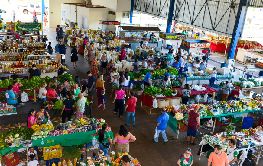 Atualmente, Palmas conta com sete feiras ativas e mais de 800 feirantes 
