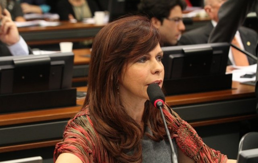 Deputada federal Profª. Dorinha