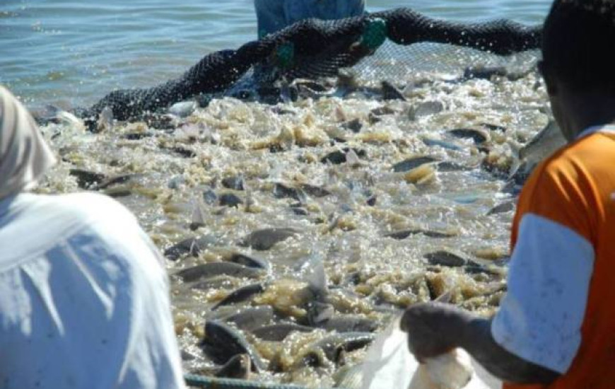 Criatório fica em Almas