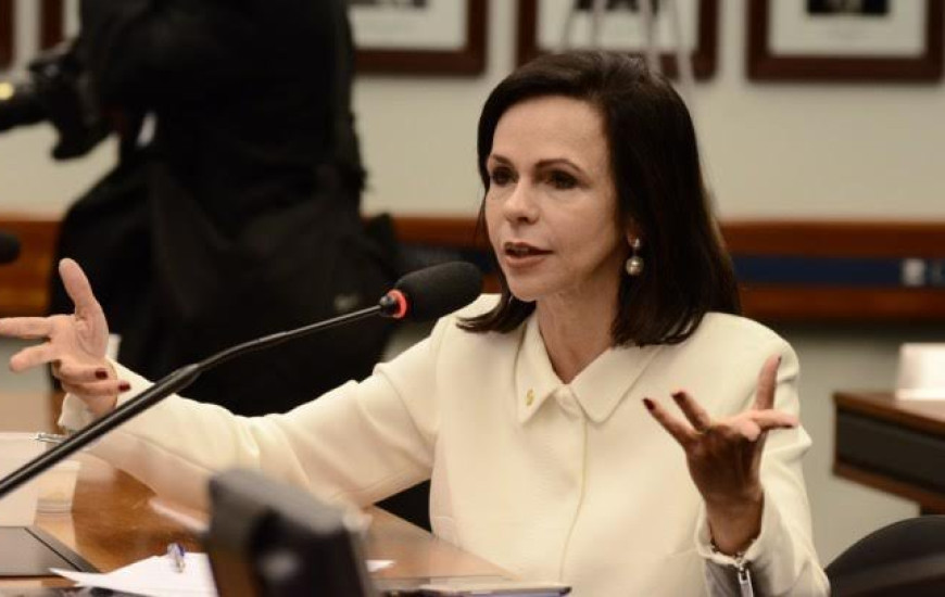 Deputada Professora Dorinha