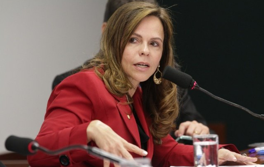 Deputada Dorinha Seabra