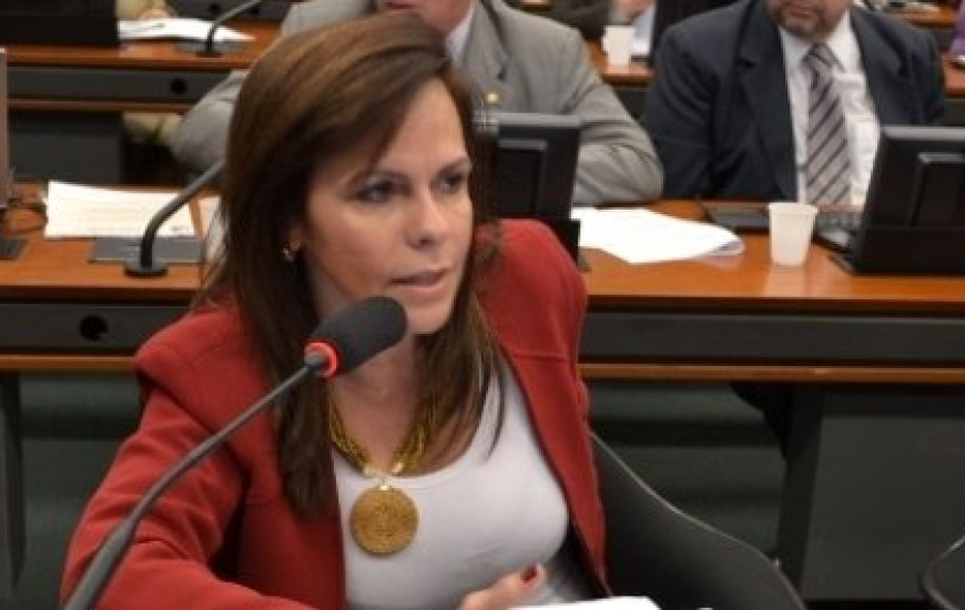 Deputada Dorinha Seabra (Democratas)