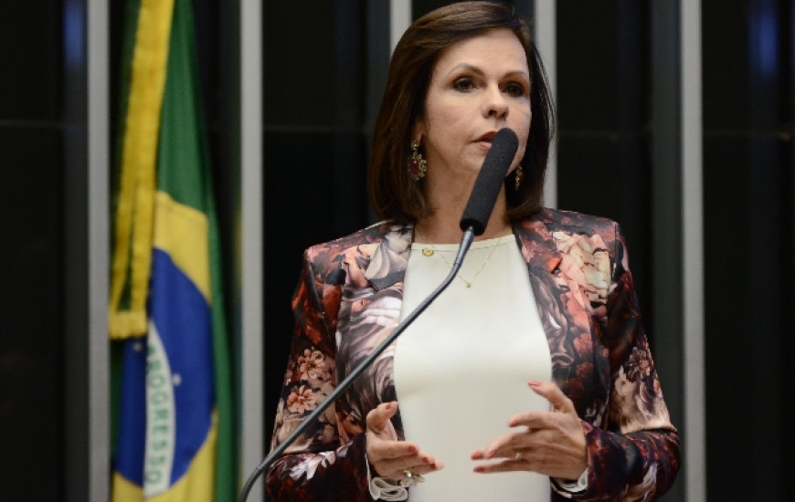 Deputada professora Dorinha 