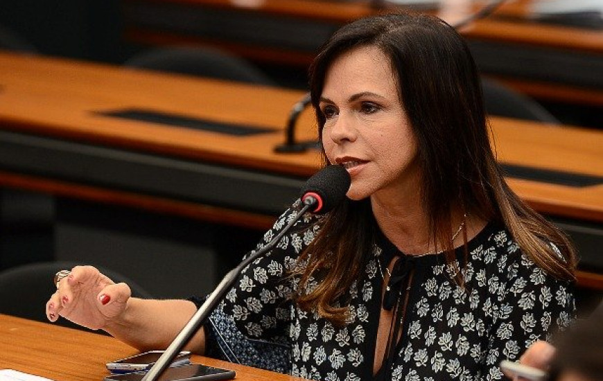 Deputada federal Profª Dorinha